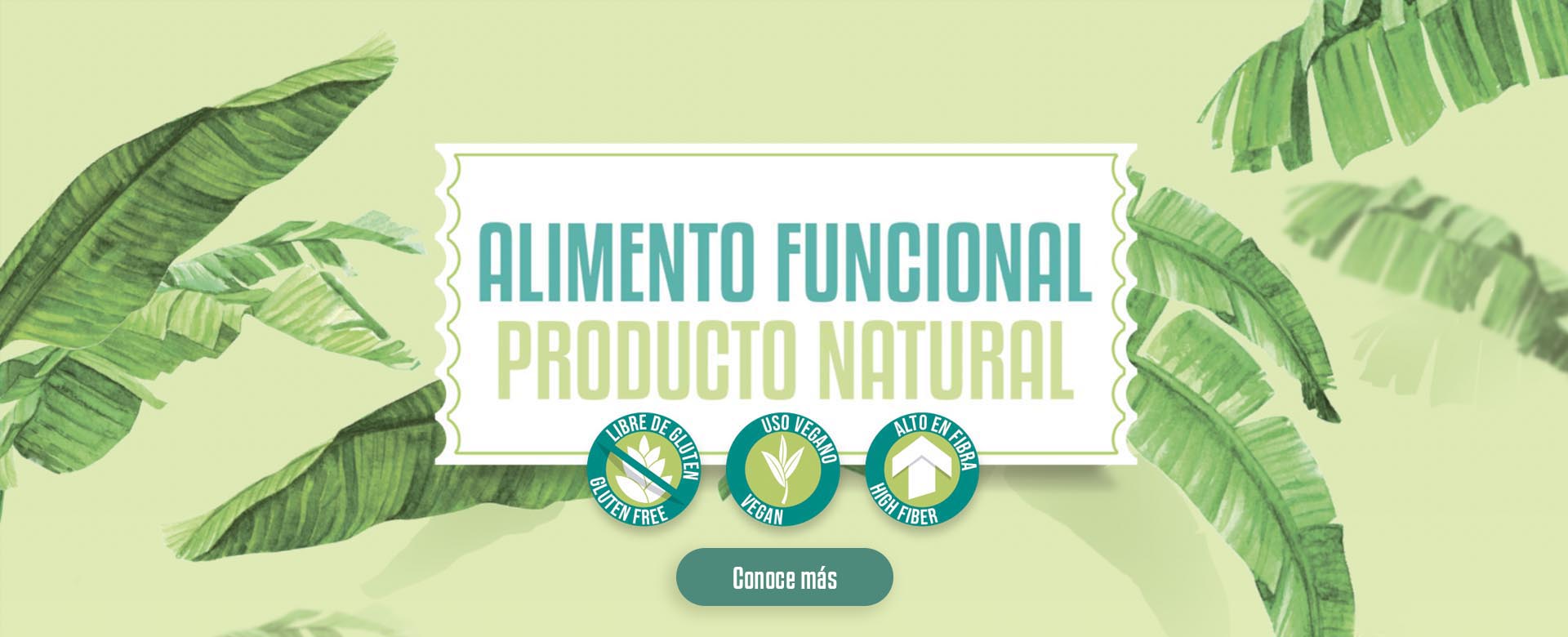 banner alimento funcional